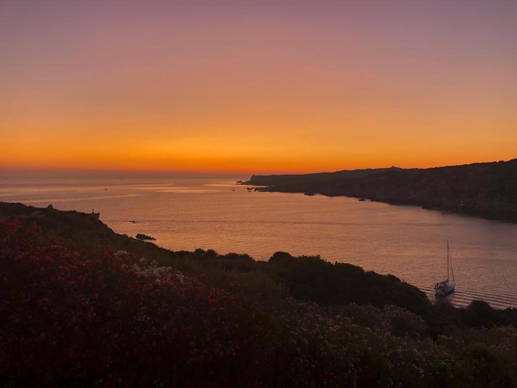 B&B Jolie Santa Teresa Gallura Exterior foto